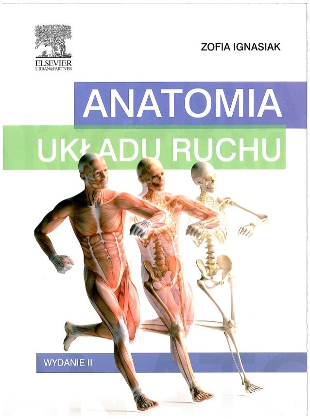 Atlas Anatomiczny Pdf
